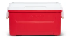 Koelbox Igloo Laguna 48 Red 12 Koelbox Igloo Laguna 48 Red -Kampeeruitrusting Winkel 00050063 F 1