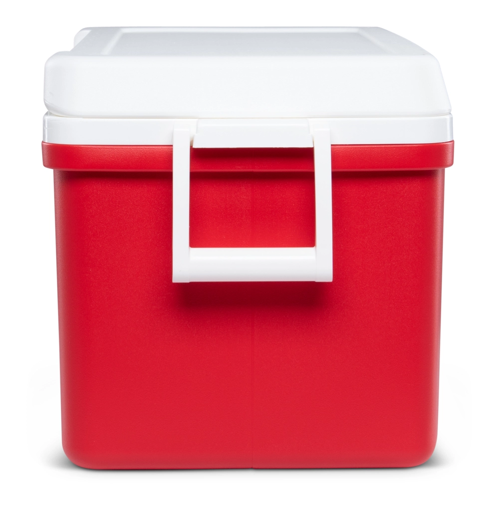 Koelbox Igloo Laguna 48 Red 8 Koelbox Igloo Laguna 48 Red - Afbeelding 6